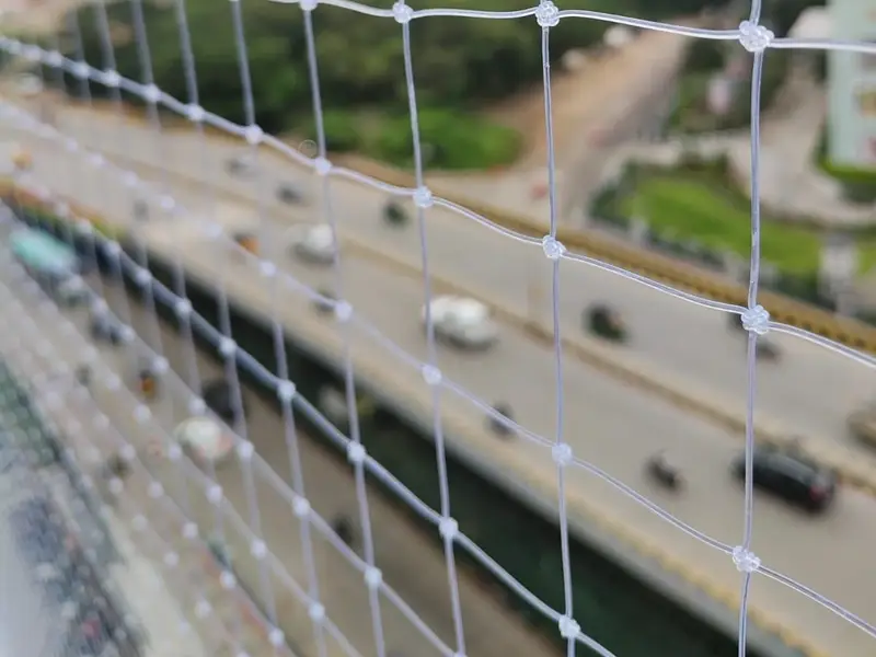 Bird Nets photo 1