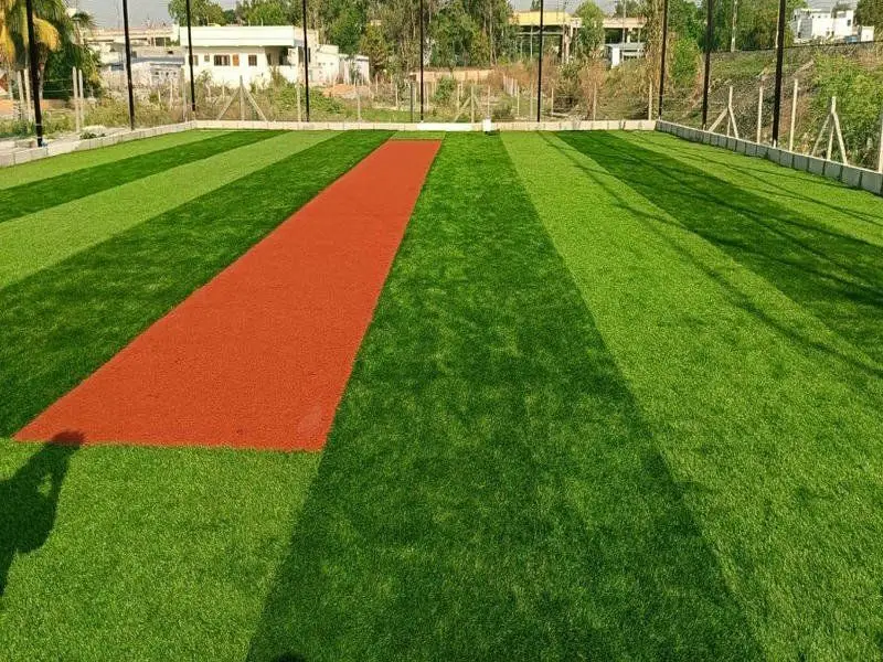 Cricket Practice Nets photo 2