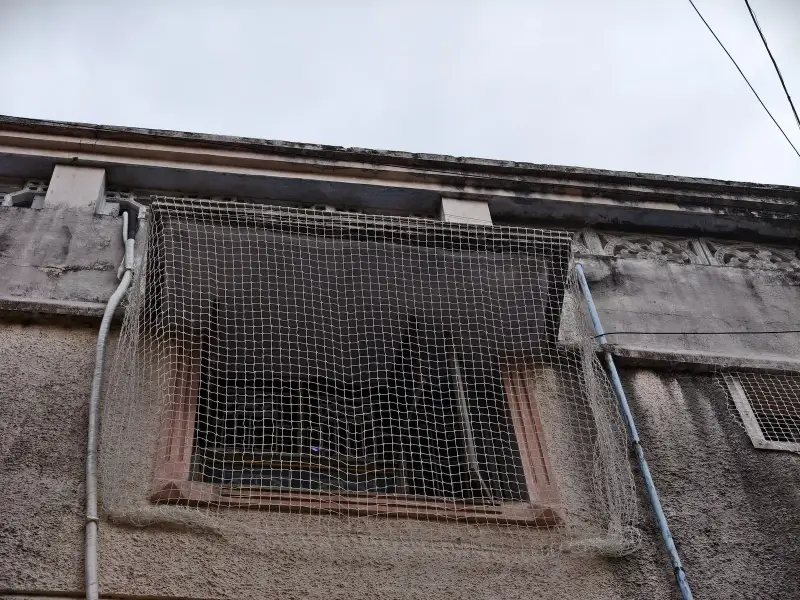 Monkey Safety Nets photo 2