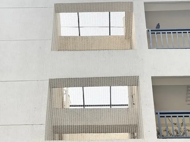 Pigeon Nets for Windows photo 1