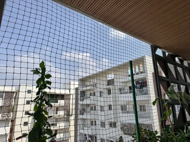 Safety Nets photo 1