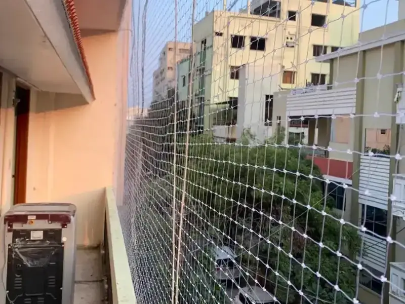 Safety Nets photo 2